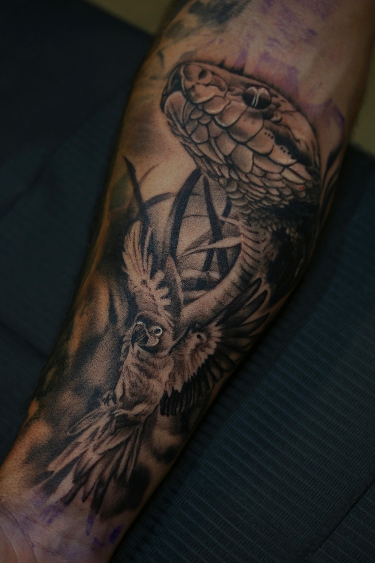 Tatuagem realista de cobra e coruja
